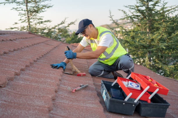 Best Storm Damage Roof Repair  in Bisbee, AZ
